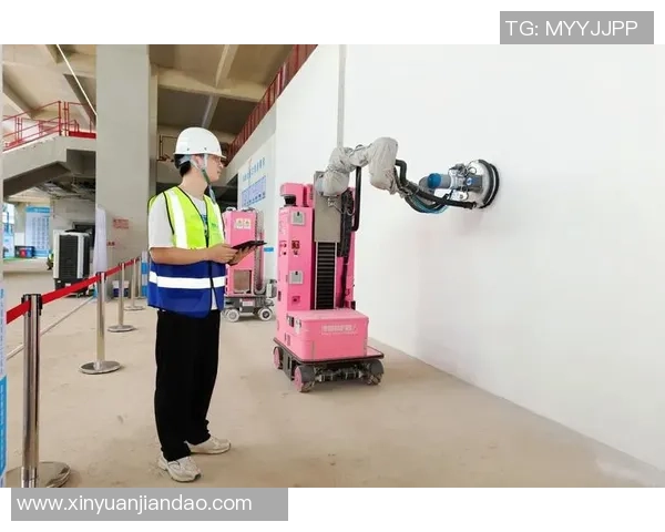 重庆极限运动队状态对比深度解析与未来发展趋势探讨